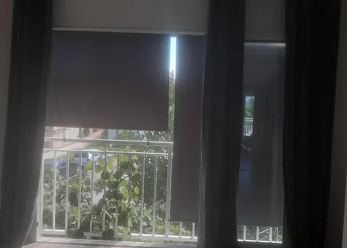 בית הארחה Basil And