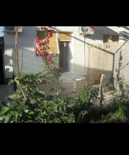 בית הארחה Basil And 3*